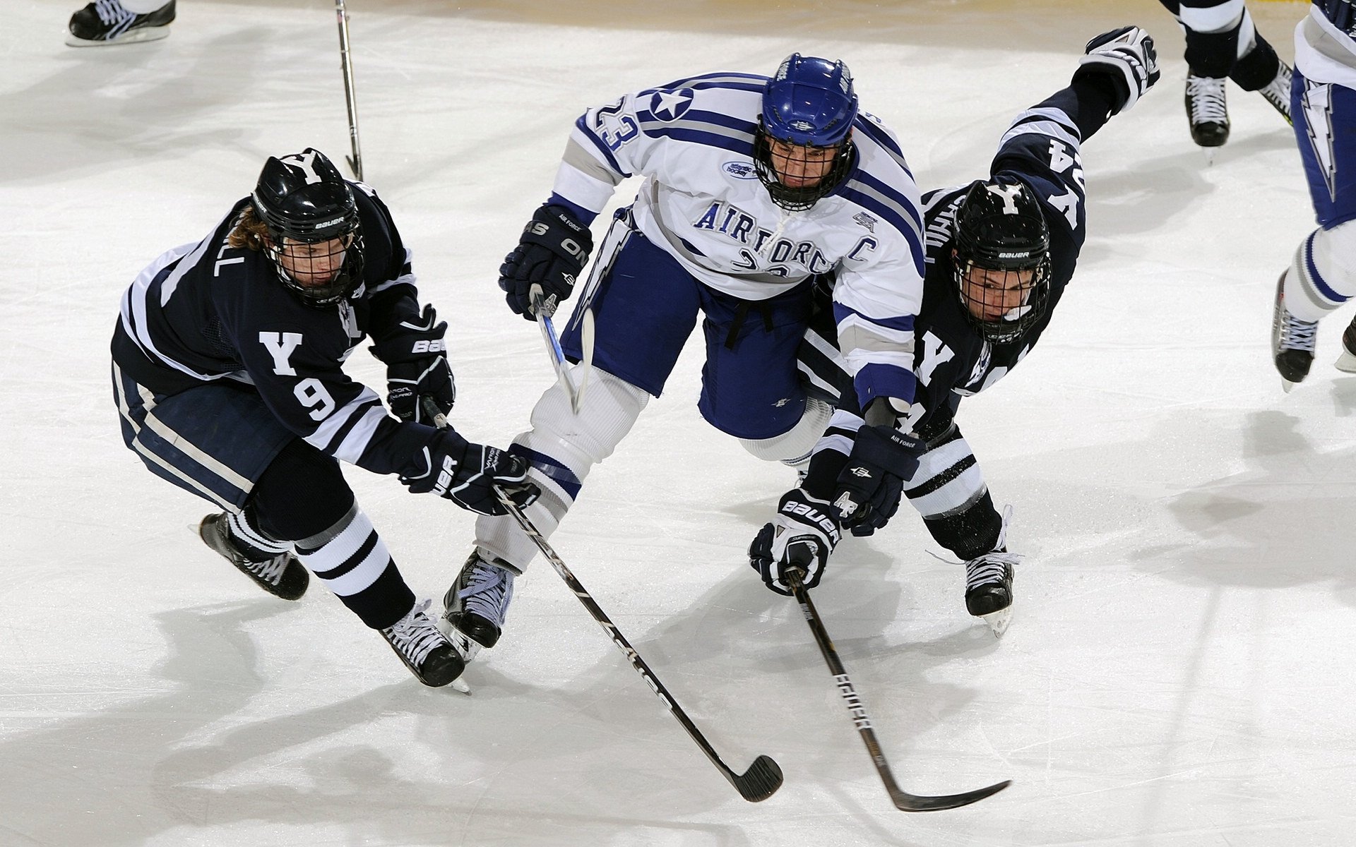 Rookie迎来三赛季高光表现，西班牙队球迷沸腾！