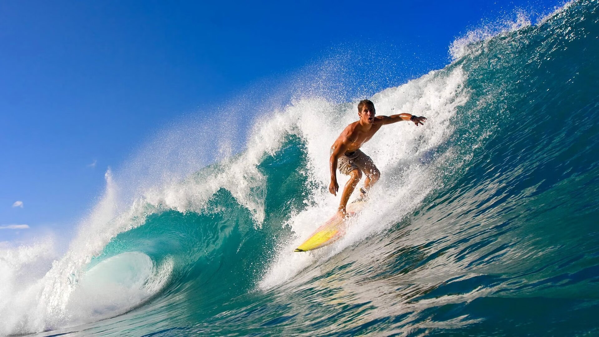 综合格斗赛场焦点！韩国队对阵阿根廷队，核心球员受伤，球队前景蒙阴影